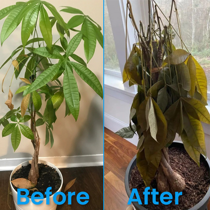 LIMETOW® Plant Revitalizer