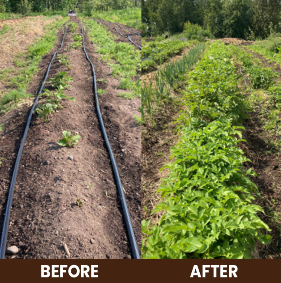 LIMETOW® Soil Activator