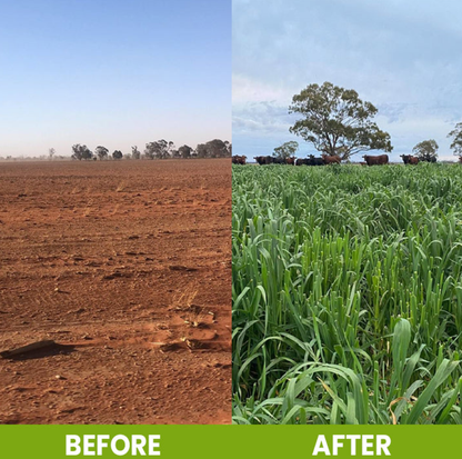LIMETOW® Soil Activator